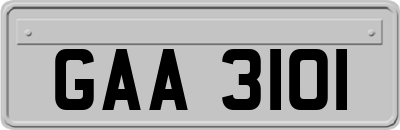 GAA3101