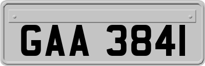 GAA3841