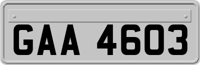 GAA4603