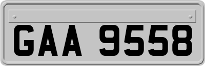GAA9558