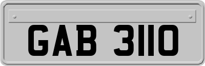 GAB3110