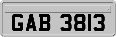 GAB3813