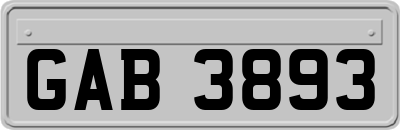 GAB3893