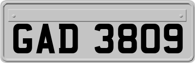 GAD3809