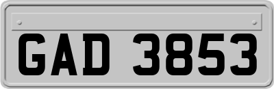 GAD3853