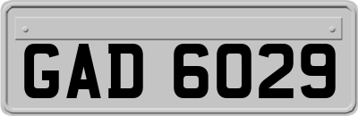 GAD6029