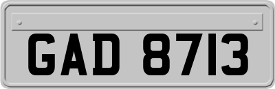 GAD8713