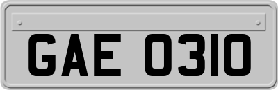 GAE0310