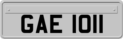 GAE1011