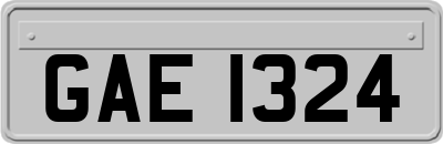 GAE1324