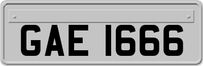 GAE1666