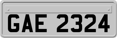 GAE2324