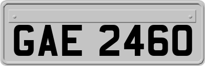 GAE2460