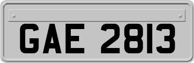 GAE2813