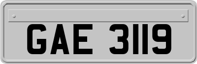GAE3119