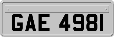 GAE4981