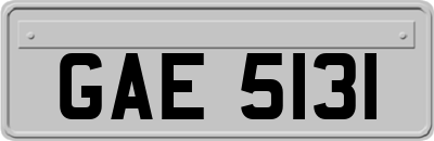 GAE5131