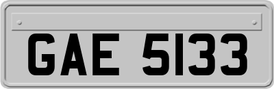 GAE5133
