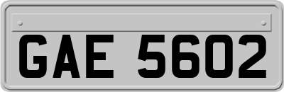 GAE5602