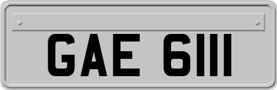 GAE6111