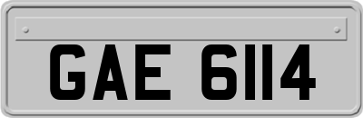 GAE6114