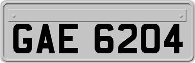 GAE6204