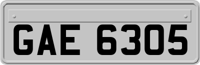 GAE6305