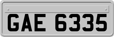 GAE6335
