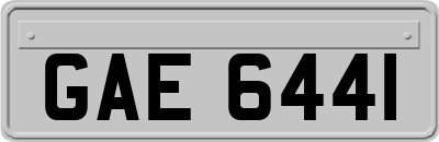 GAE6441