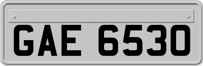 GAE6530