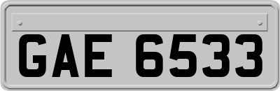GAE6533