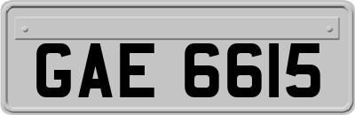 GAE6615