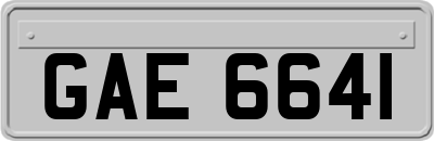 GAE6641