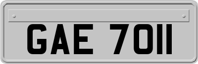 GAE7011