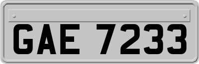 GAE7233