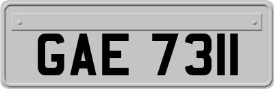 GAE7311
