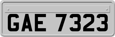 GAE7323