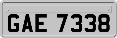 GAE7338