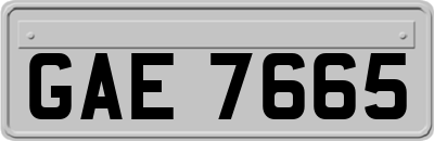 GAE7665