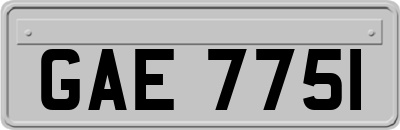 GAE7751