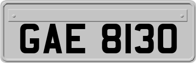 GAE8130