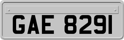GAE8291