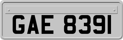 GAE8391