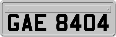 GAE8404