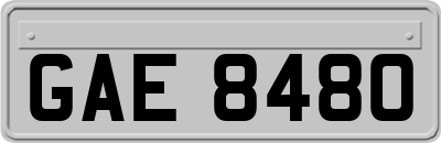 GAE8480