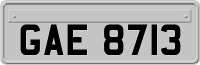 GAE8713