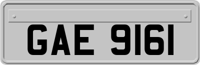 GAE9161