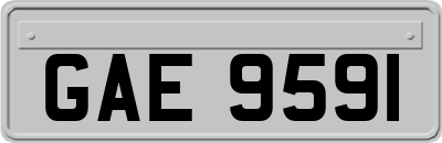 GAE9591