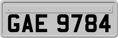 GAE9784