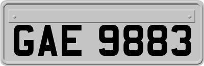 GAE9883